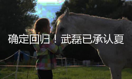 确定”回归海海遗憾的武磊是