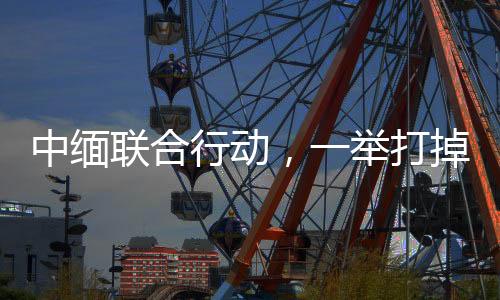 掉缅点组织头目和骨干21名