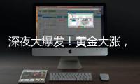 深夜大爆发	�！黄金大涨，现货白银创14年新高！美股全线跳水