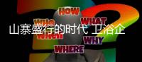 山寨盛行的时代 卫浴企业如何抢占市场
？