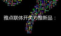雅点联体开关力推新品�：拉丝黑开关